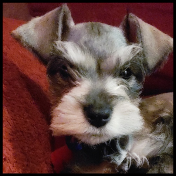 Welcome to my closet! Thank you for visiting. - Picture 15 of 16